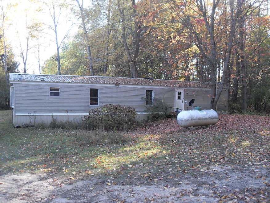 4107 E White River Dr, Hesperia, MI 49421 - photo 1