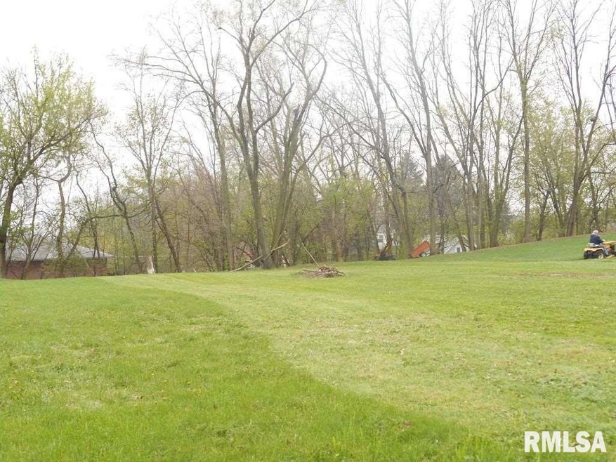 2123 E Pleasant St, Davenport, IA 52803 - photo 1