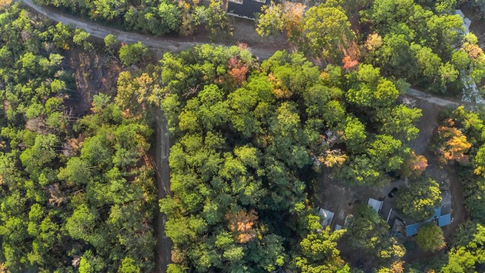 88 Deodar Dr, Brookeland, TX 75931 - photo 1