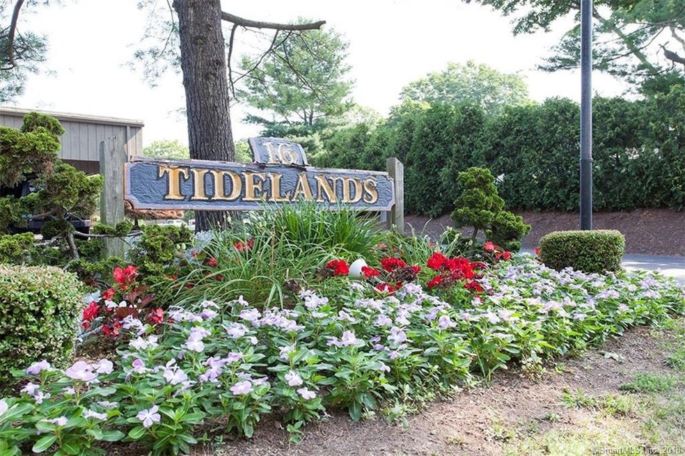 Welcome to Tidelands !