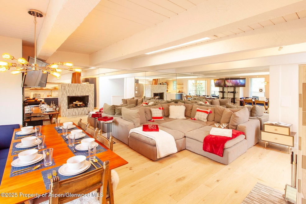 1039 E Cooper Ave unit 16A, Aspen, CO 81611 - photo 1