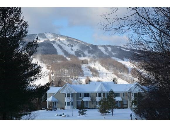 12B Dover Spring Ln unit 12B, Dover, VT 05356 - photo 1