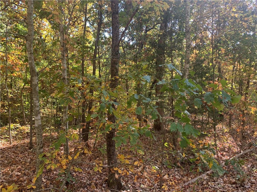 5 Veryan Ln, Bella Vista, AR 72714 - photo 1