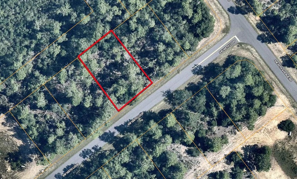 Lot 51 SW 168th Loop, Ocala, FL 34473 - photo 1