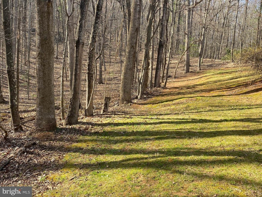 41 Comptons Rd, Castleton, VA 22716 - photo 1