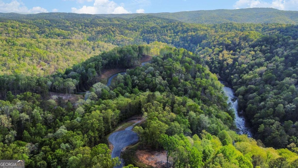 Lot 274 Canoe Way, Talking Rock, GA 30175 - photo 1