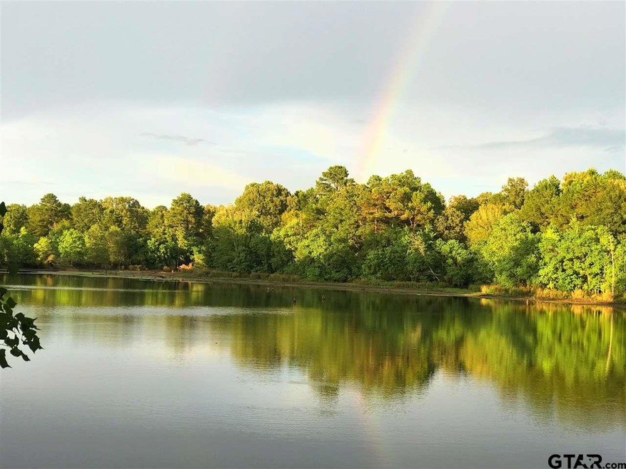 11013 County Road 233, Arp, TX 75750 - photo 1