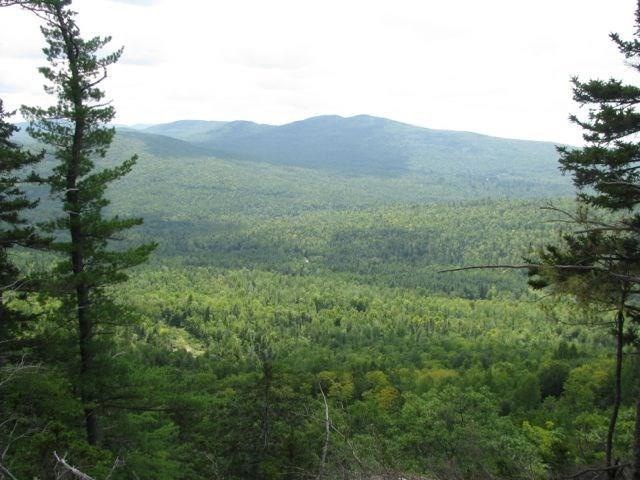 Incredible Views all of this 347 Acres.