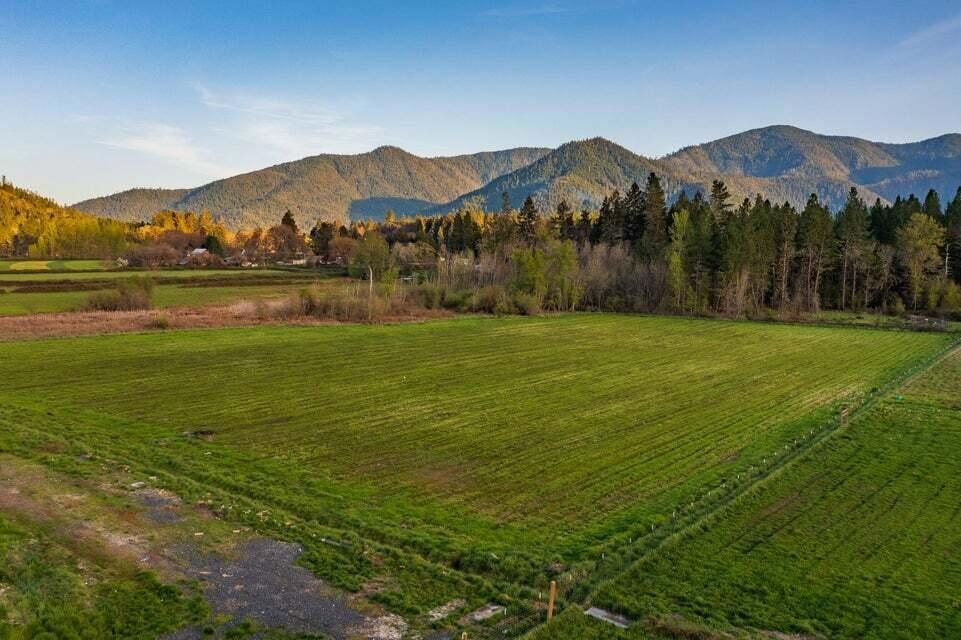 Fish Hatchery 2