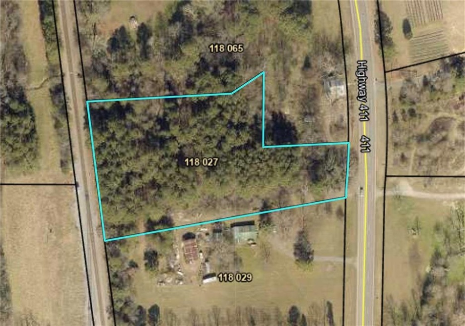 0 Highway 411 unit 7373543, Oakman, GA 30734 - photo 1