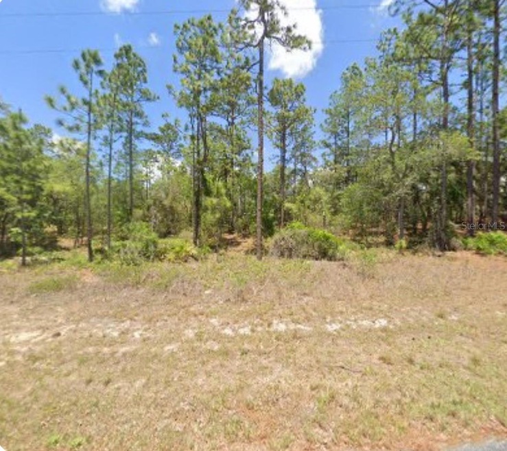 3271 W Montgomery Ln, Citrus Springs, FL 34433 - photo 1