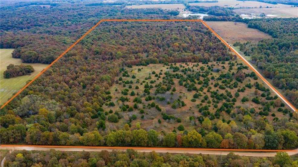 0 E 1424 Rd unit 2196255, Eldorado Springs, MO 64744 - photo 1