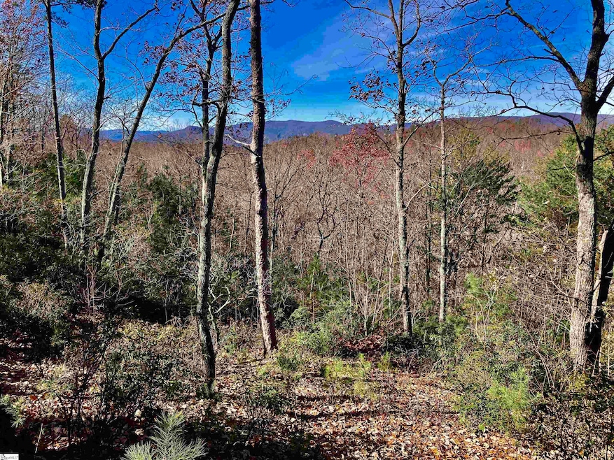 1 Sweet Fern Way, Marietta, SC 29661 - photo 1