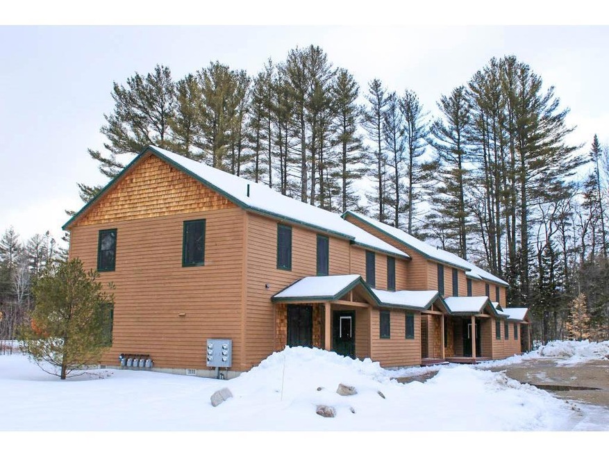 The Pines- Winter Ext