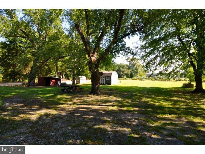 21392 Park Ave, Georgetown, DE 19947 - photo 1