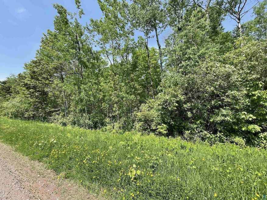 View of undeveloped land