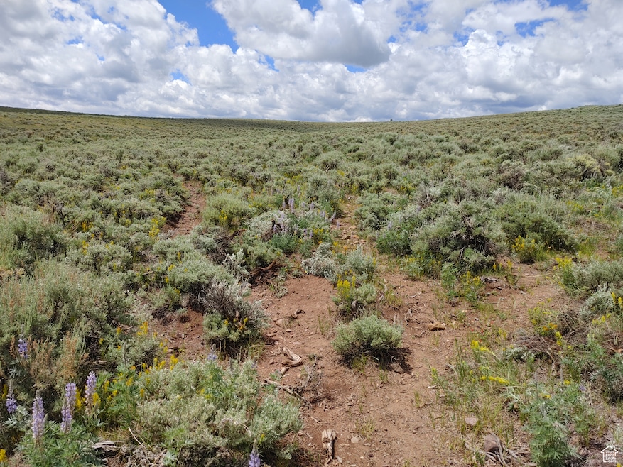 0 00 unit 2054374, Kamas, UT 84036 - photo 1
