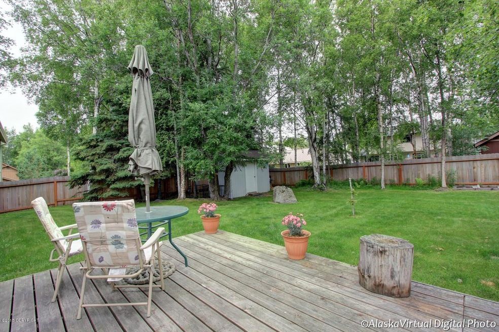 Large Fenced Yard