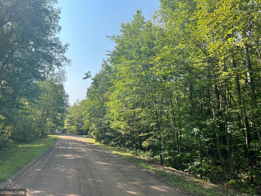 52067 183rd Ave, McGregor, MN 55760 - photo 1