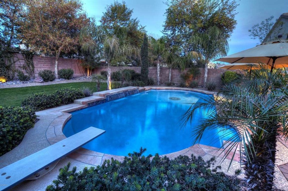 Backyard 2