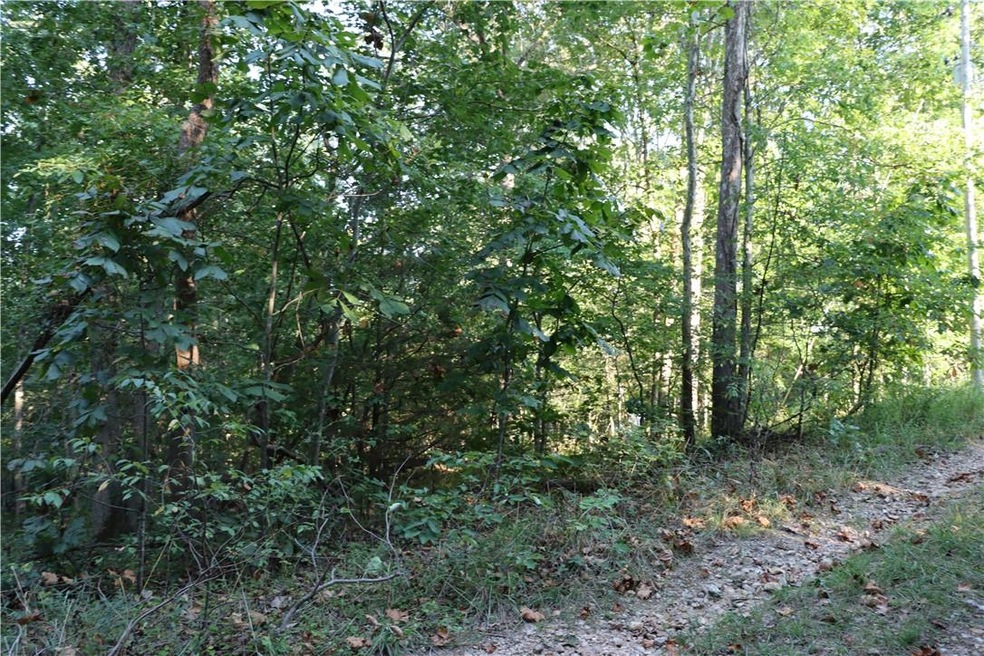 Lot 2, Block 2 Tudor Ln, Bella Vista, AR 72715 - photo 1