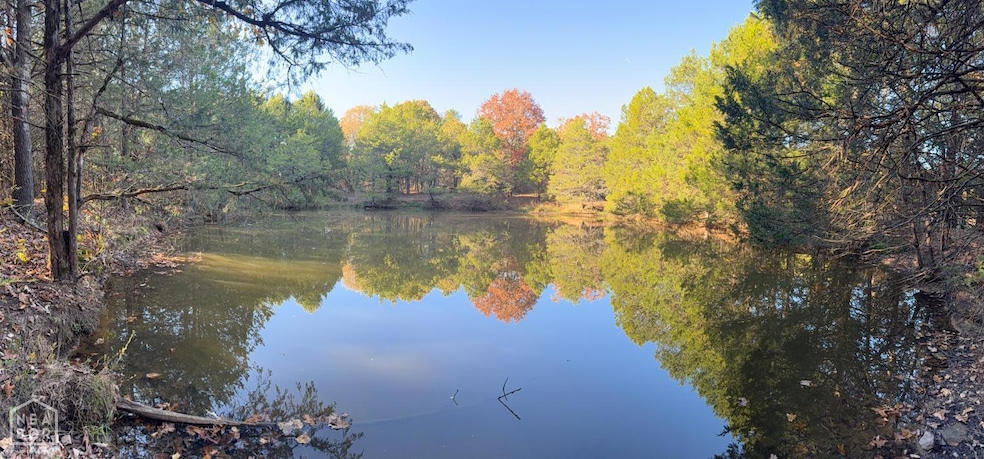 599 Arkansas 58, Cave City, AR 72521 - photo 1