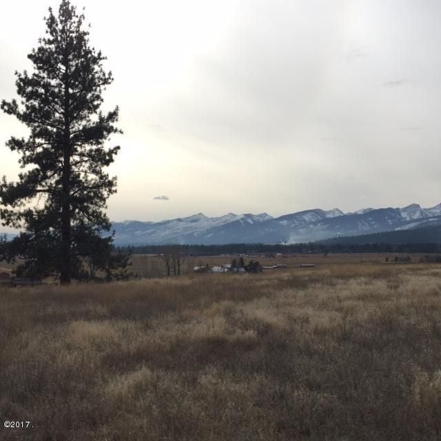View Looking SW