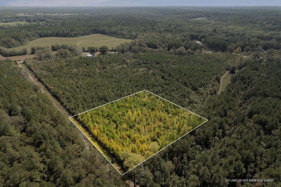 Parcel 3, Tylertown, MS 39667 - photo 1