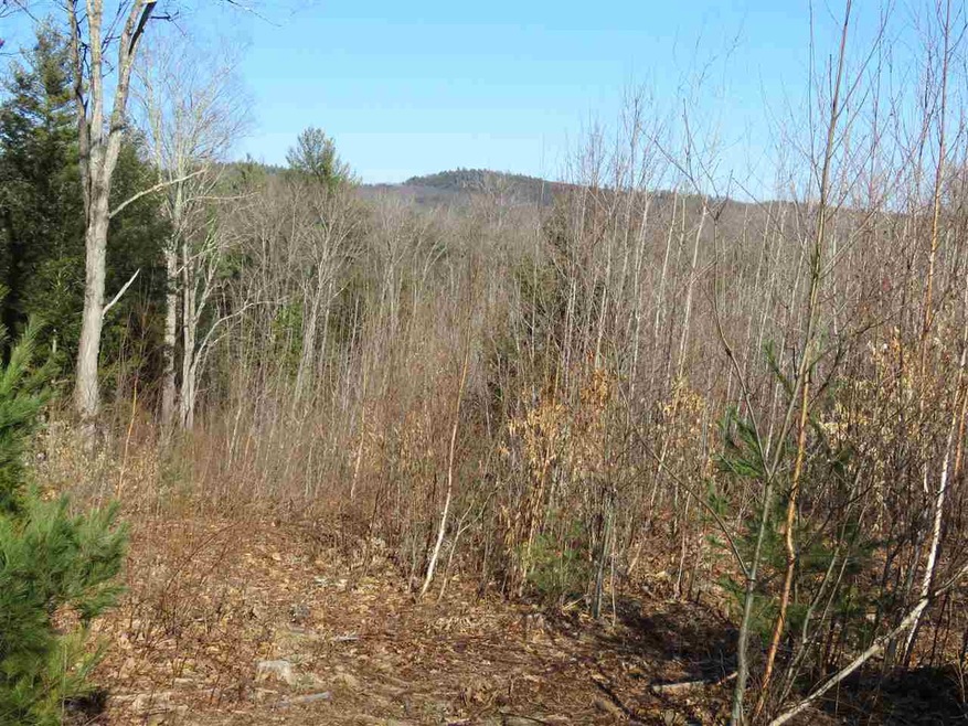 000 Concord St, Antrim, NH 03440 - photo 1