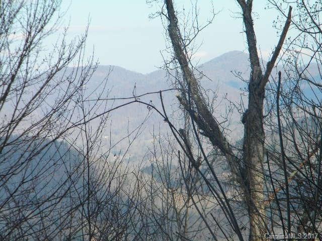 Clear the trees for your view.
