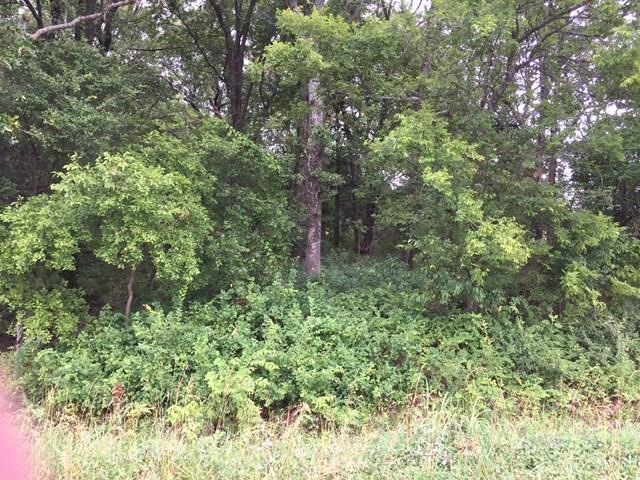 12940 Butler Rd, Prairie Grove, AR 72753 - photo 1