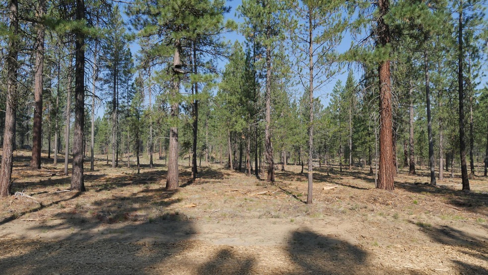 Front of homesite