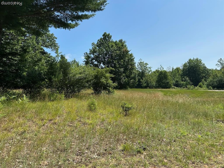 77 E Starlight Ridge Cir, Onekama Township, MI 49675 - photo 1