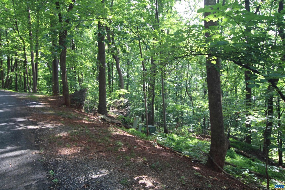 680 Crawfords Climb, Nellysford, VA 22958 - photo 1