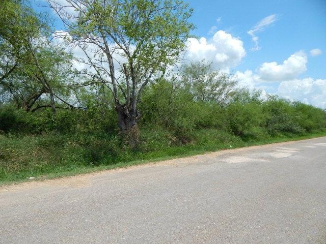 0 E Ferguson Ave, Pharr, TX 78577 - photo 1
