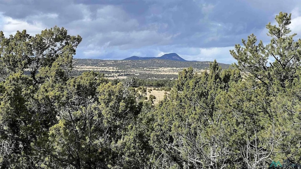 0 Mountain View unit 24140967, Pie Town, NM 87827 - photo 1