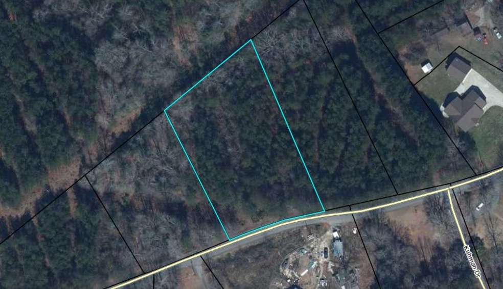 312 Capps Rd, Walhalla, SC 29691 - photo 1