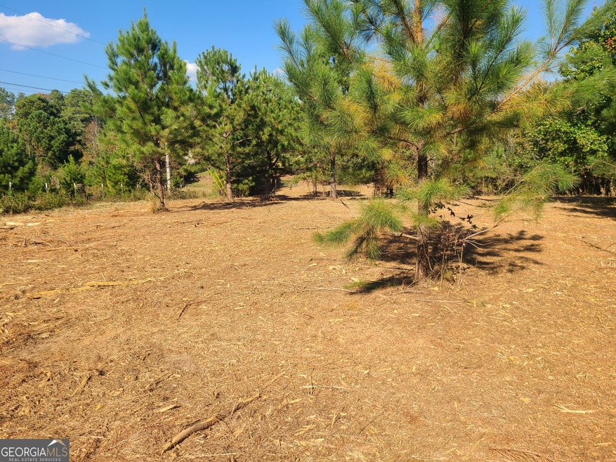 0 Dunson Shoals Rd unit 10386610, Franklin, GA 30217 - photo 1