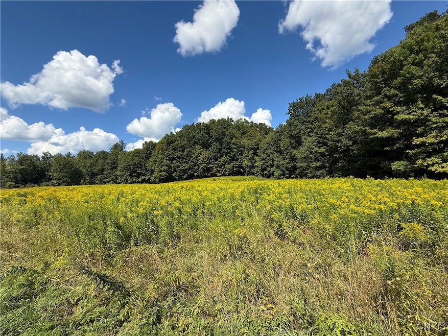 0 Cr-52 unit S1632950, Orwell, NY 13144 - photo 1