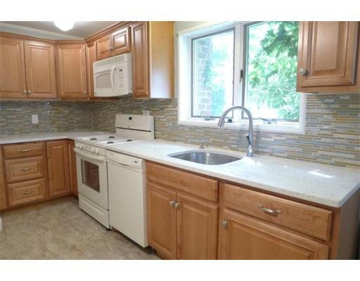 57 Louise Rd, Chestnut Hill, MA 02467 - photo 1