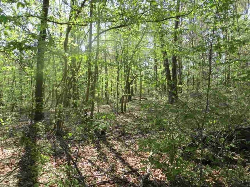 xxx W Chucks Place, Tallahassee, FL 32309 - photo 1