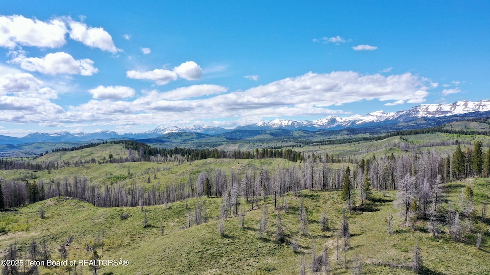 DJI_0368