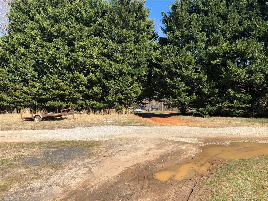 Entrance through pines