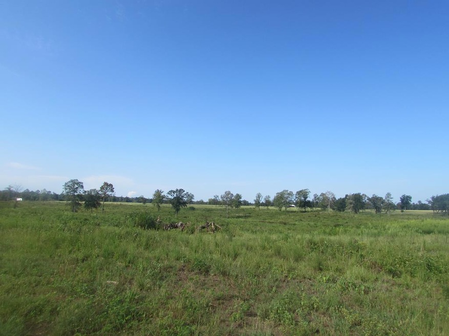 000 Jenkins Rd, Blakely, GA 39823 - photo 1