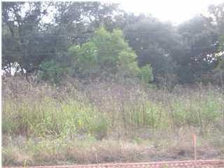 Primary Photo