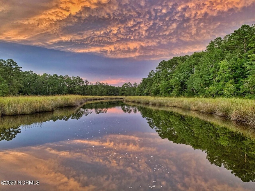creek reflections