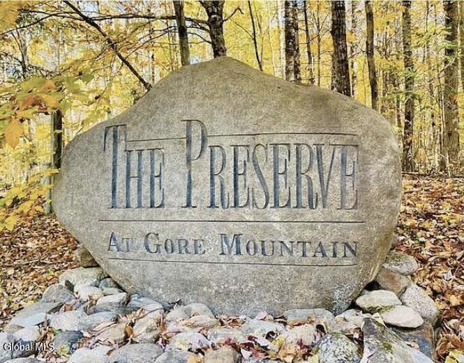 12 The Woods, North Creek, NY 12853 - photo 1