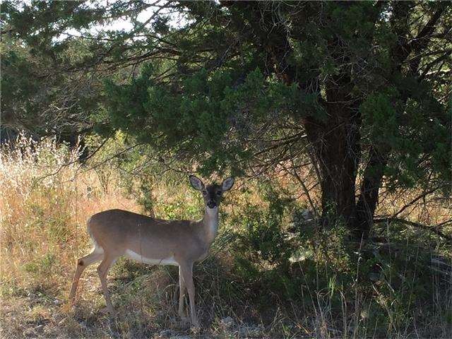 Current neighboring local resident.
