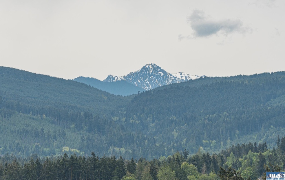 Tyler Peak & Surrounding Foothills (underground utility lines!)