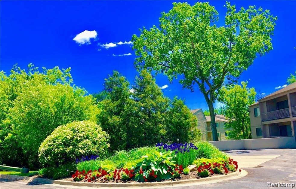 misty front flowers.jpeg